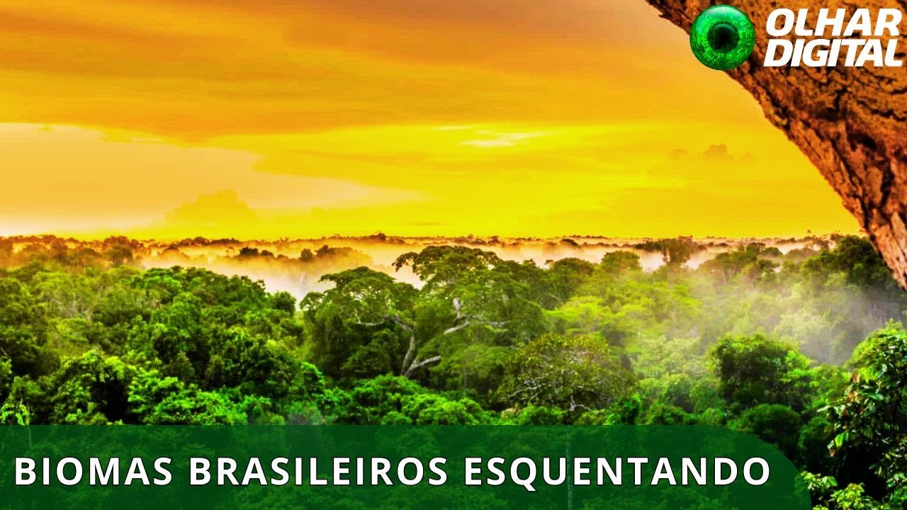 Amazônia atinge limite do Acordo de Paris; Pantanal supera marca