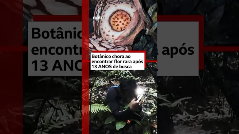 Botânico chora ao encontrar planta rara 🌺🇮🇩