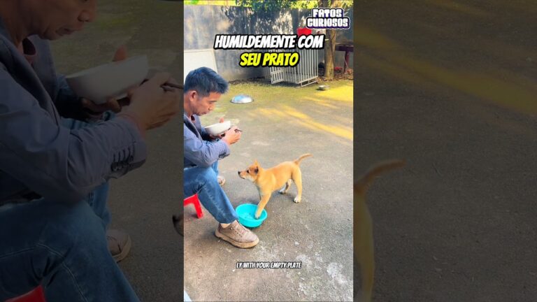 🥺 ELE NÃO COME SEM ELA! O Melhor Cachorro do Mundo 🐶❤️