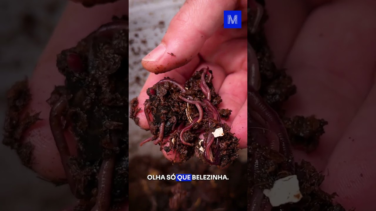 FAÇA seu MINHOCÁRIO! #ManualMaker