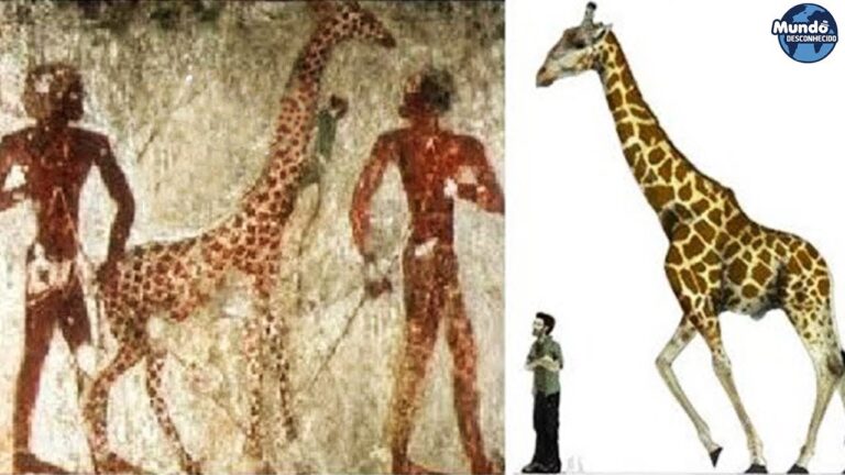 GIGANTES DO EGITO - Misteriosas pistas que podem provar a existência deles!