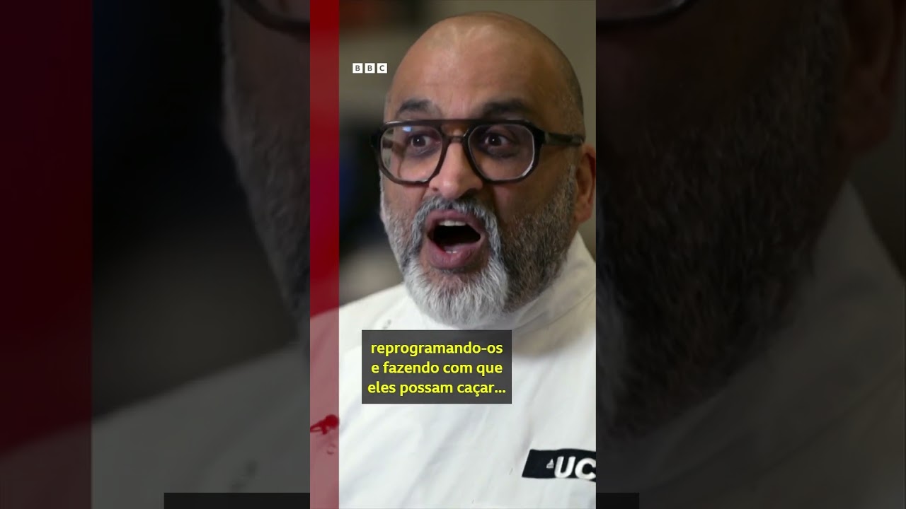 'Achava que ia morrer ainda criança': o novo tratamento para pacientes com leucemia