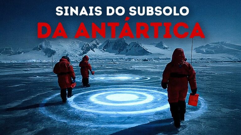 25 fatos selvagens que são bons demais para serem perdidos