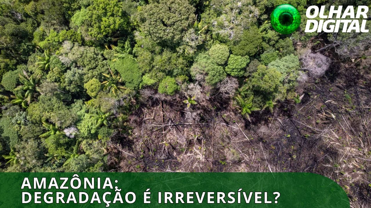 Amazônia está se aproximando de ponto crítico