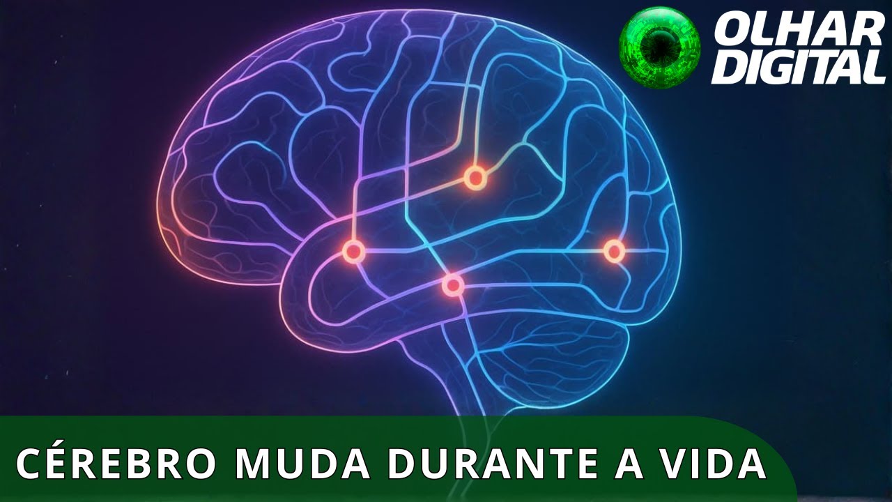 Cérebro humano recalcula rota quatro vezes ao longo da vida