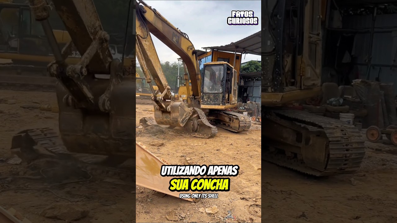 ESSE OPERADOR DEIXOU SEUS CRÍTICOS DE BOCA ABERTA COM MANOBRA IMPOSSÍVEL 🚜