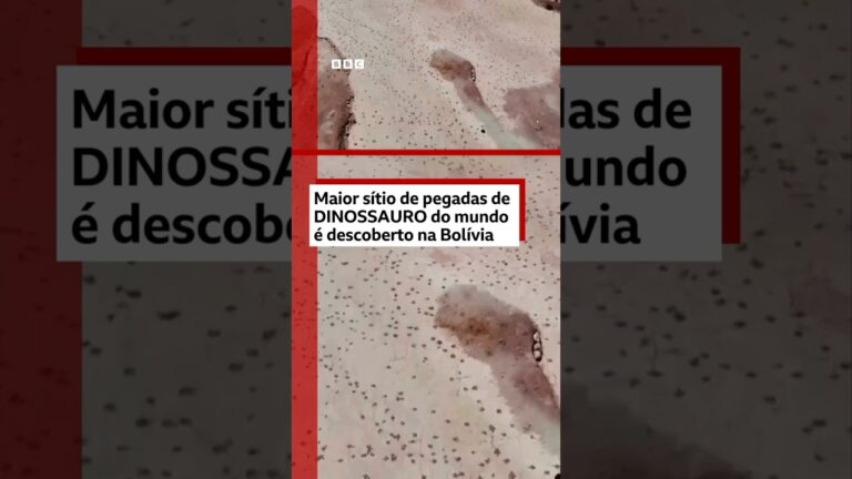 "Maior sítio de pegadas de dinossauro do mundo" é identificado na Bolívia 🦖🐾🇧🇴