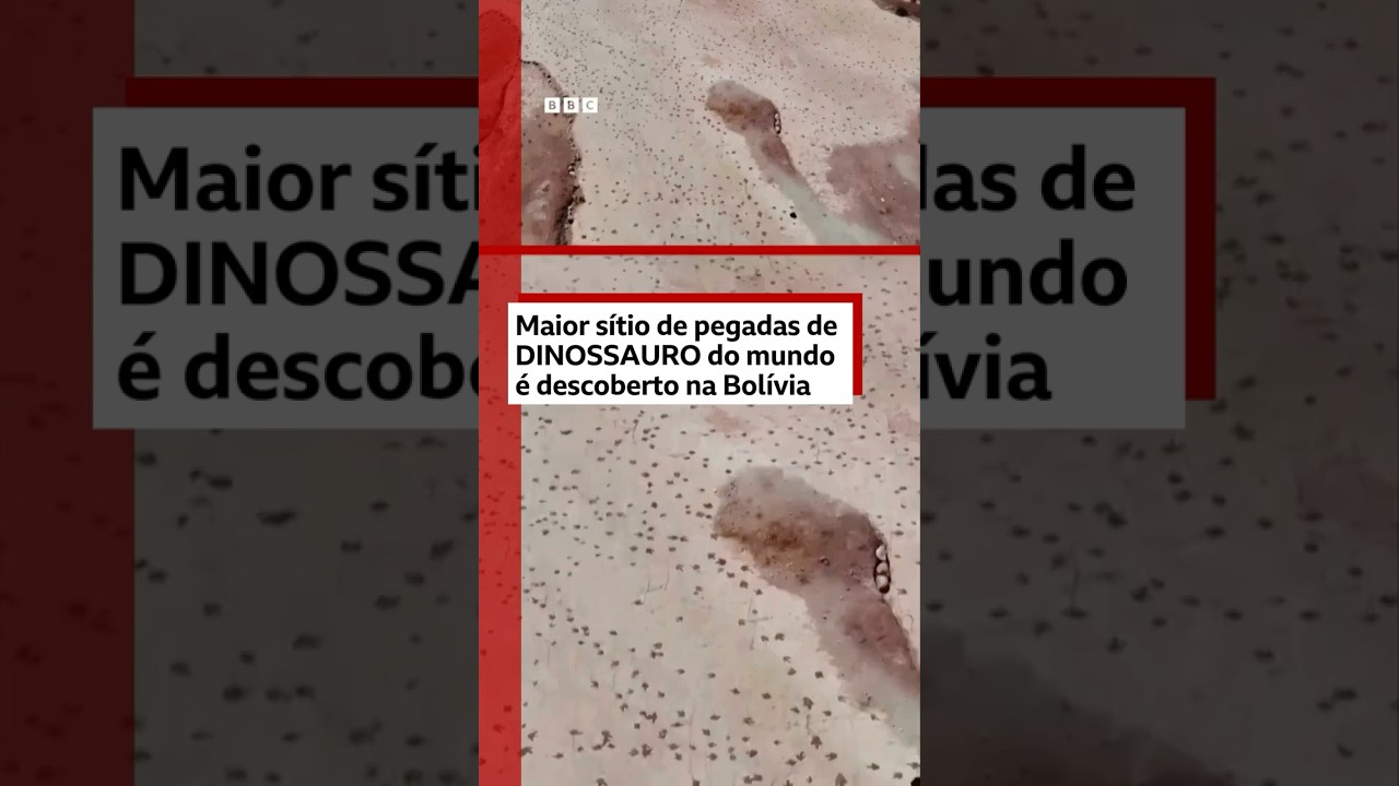 "Maior sítio de pegadas de dinossauro do mundo" é identificado na Bolívia 🦖🐾🇧🇴