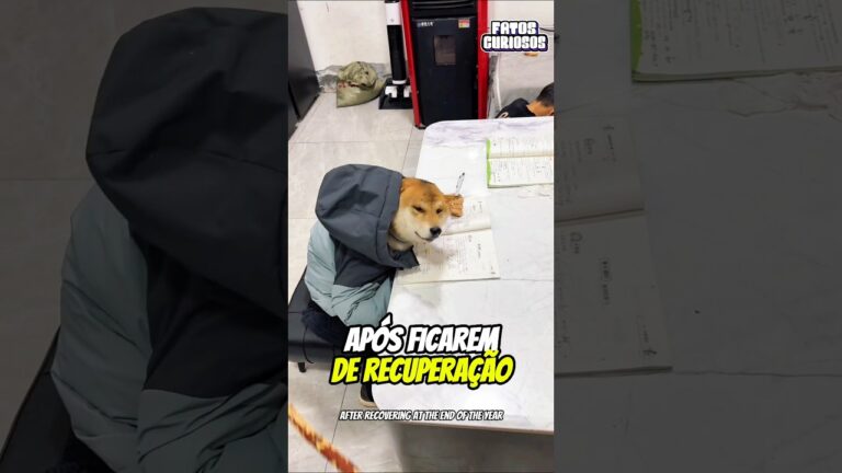 ESSAS CRIANÇAS IMPRESSIONARAM A TODOS COM SUA INTELIGÊNCIA INCRÍVEL