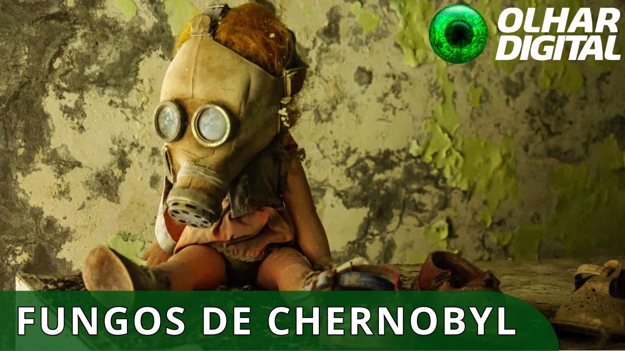 Fungos de Chernobyl intrigam cientistas ao crescer com radiação