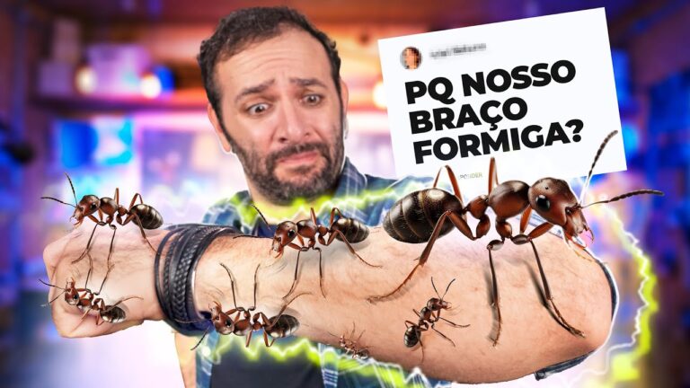 O que FAZ o BRAÇO FORMIGAR? #IberêResponde