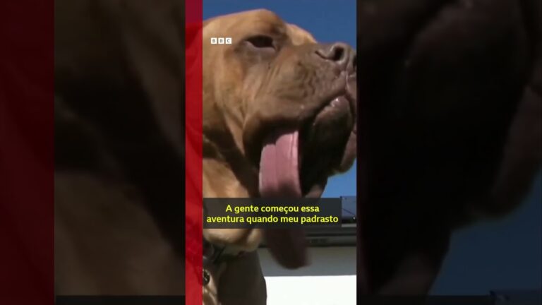 Ozzy, o cão que bateu o recorde de língua mais comprida do mundo, segundo o Guinness World Records