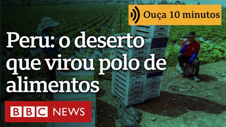 Como Peru transformou um dos desertos mais áridos do mundo em um centro de produção de alimentos