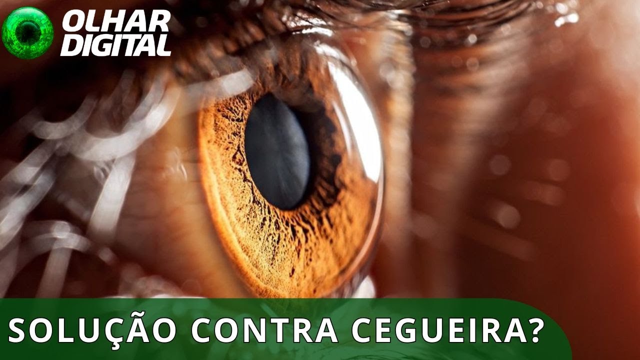 Pela primeira vez, córnea 3D devolve visão a paciente cego