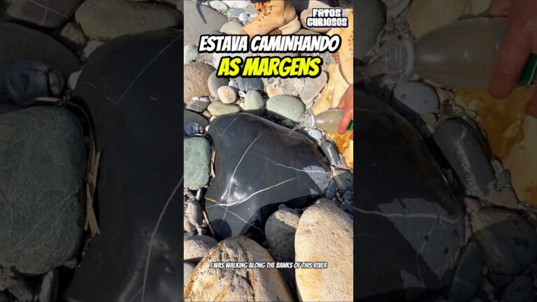 💎 DESCOBERTA DE UM MILHÃO DE DÓLARES! Ele Encontrou Uma Enorme Pedra Que o Deixou Milionário💰