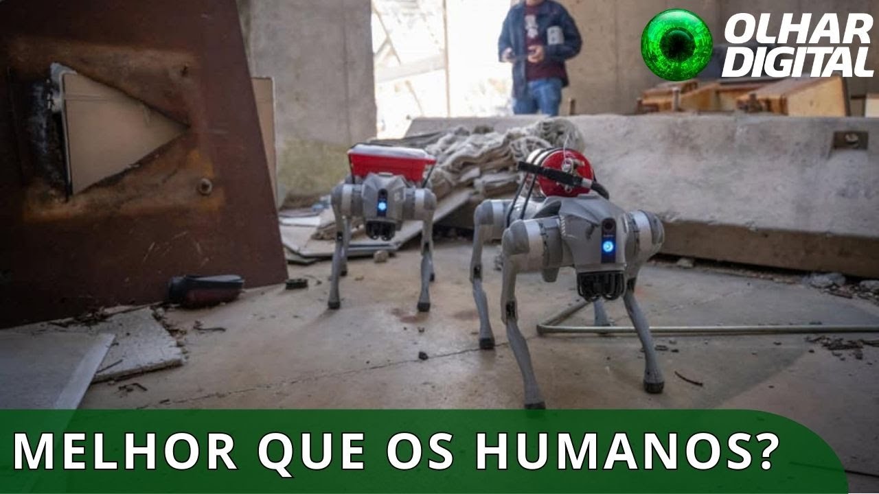 Robô-cão com IA combina visão, memória e tomada de decisão