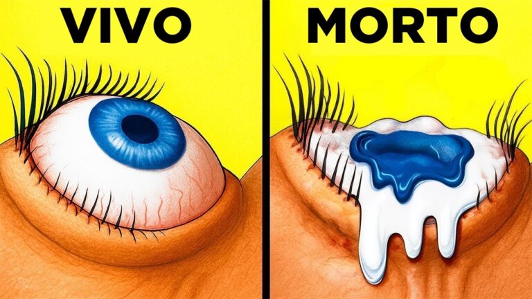Seus Olhos DERRETEM Quando Você Morre! Fatos Surpreendentes Sobre O Corpo Humano