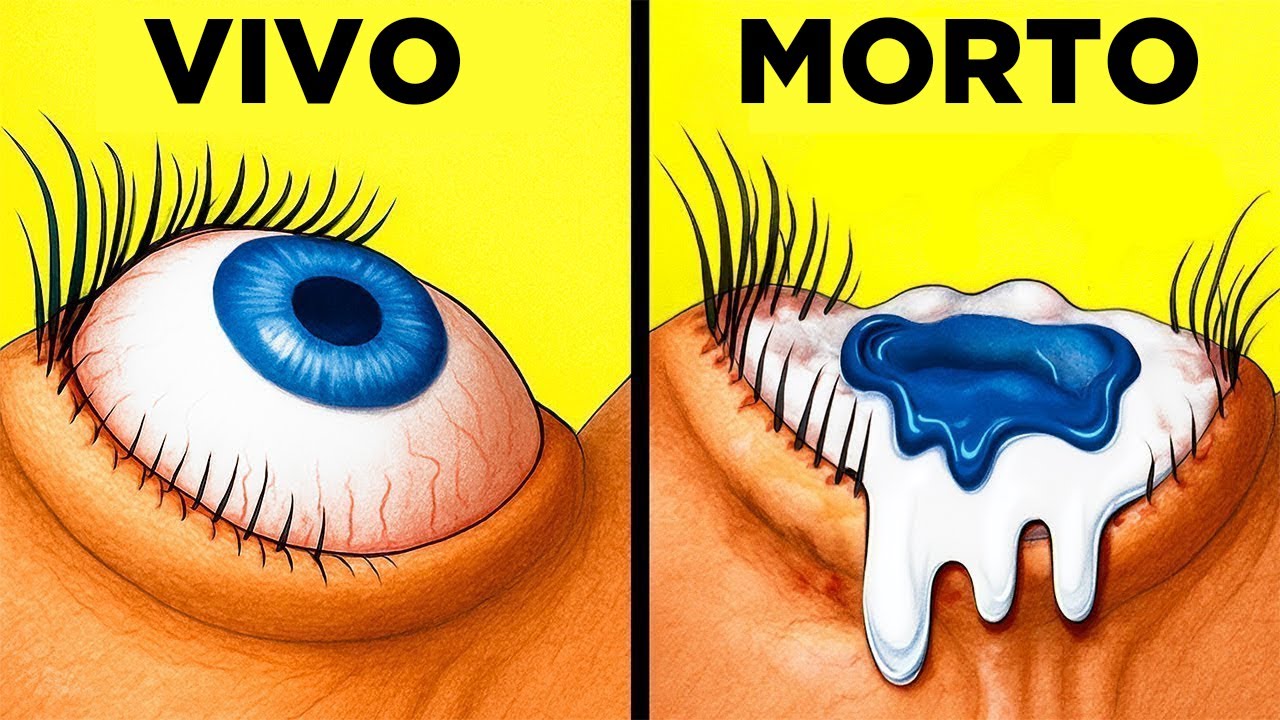 Seus Olhos DERRETEM Quando Você Morre! Fatos Surpreendentes Sobre O Corpo Humano