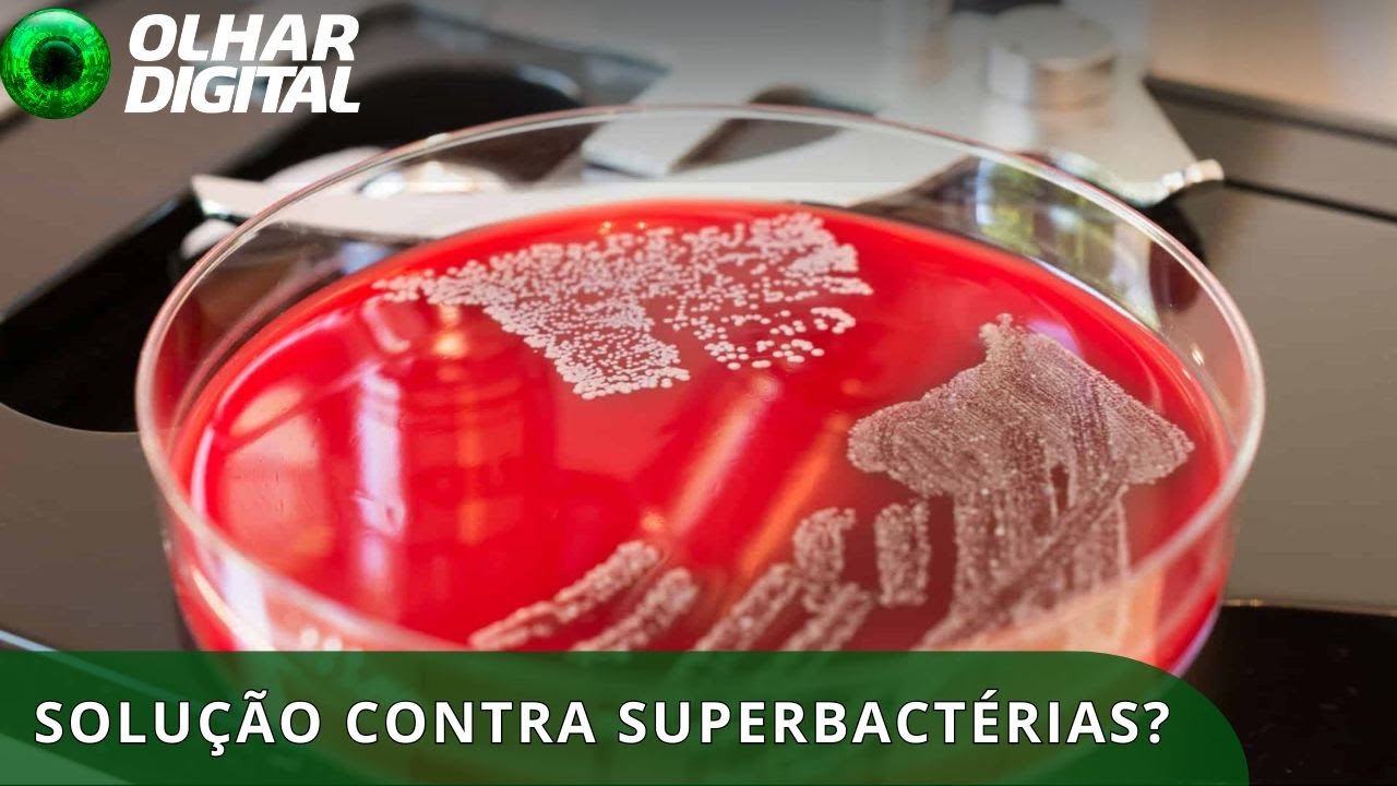 Superbactérias: brasileiros descobrem enzima que fortalece antibióticos