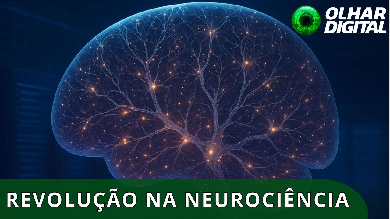 Supercomputador simula cérebro com precisão inédita