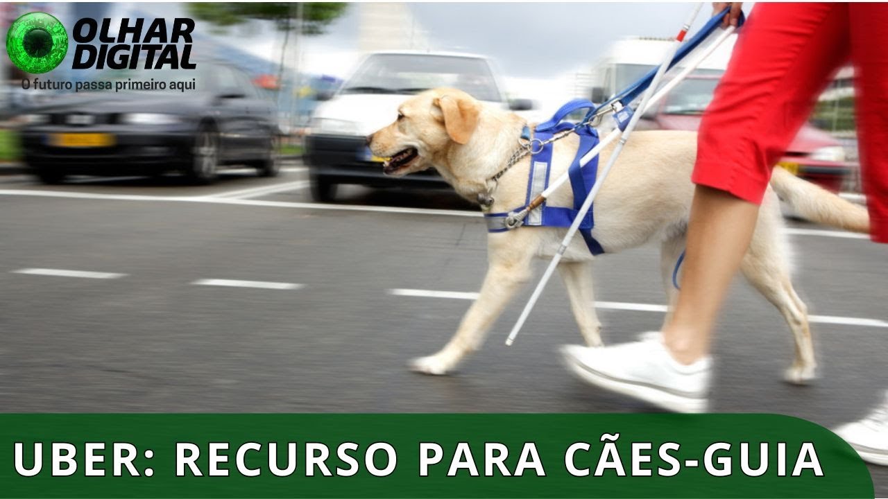 Uber disponibiliza ferramenta para deficientes visuais e cães-guia