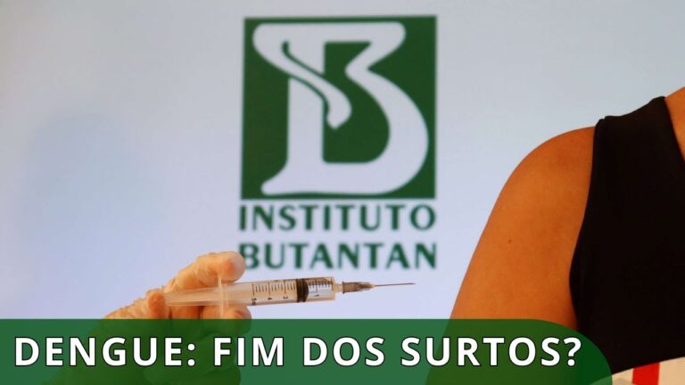 Vacina brasileira contra dengue será aplicada em breve