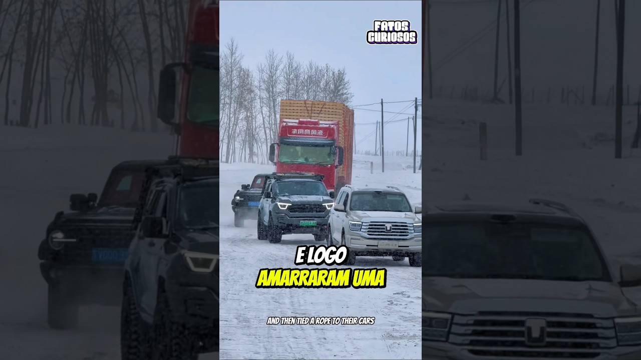 ❄️ HERÓIS NA NEVE! O NOBRE ATO DESSES GAROTOS MUDARAM O DIA DESSE CAMINHONEIRO 🚛✨