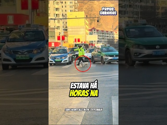 👮‍♂️ UM GESTO DE RESPEITO! Esse Policial Emocionou Toda a Cidade  Com Seu Nobre Gesto 🐾 🚦