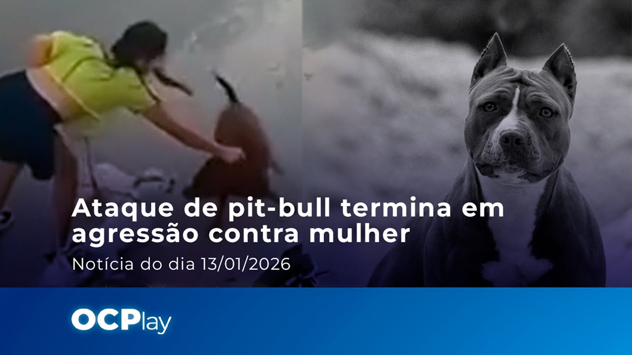 Ataque de pit-bull termina em agressão contra mulher