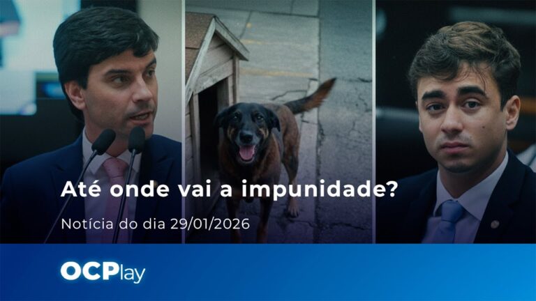 Caso Orelha: redução da maioridade penal é a solução?