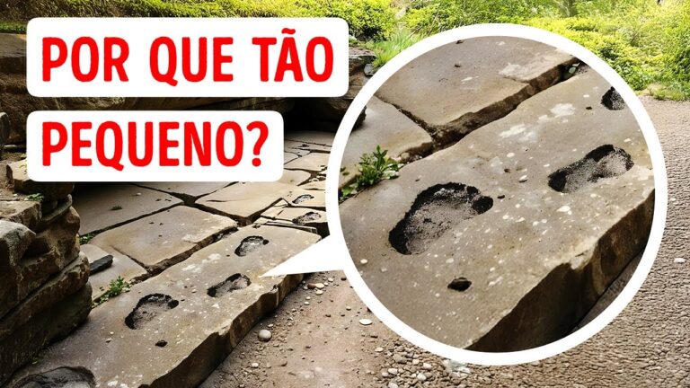 Cientistas encontraram pegadas que revelam um novo passado