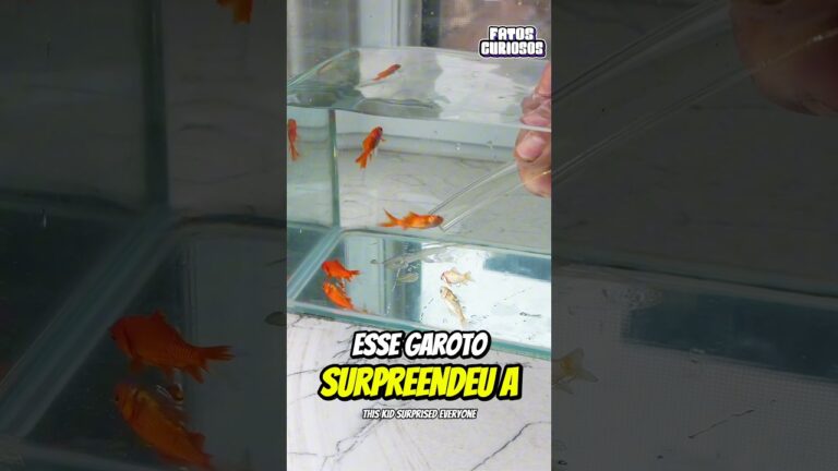 É ASSIM QUE SE LIMPA O AQUÁRIO DE FORMA FÁCIL