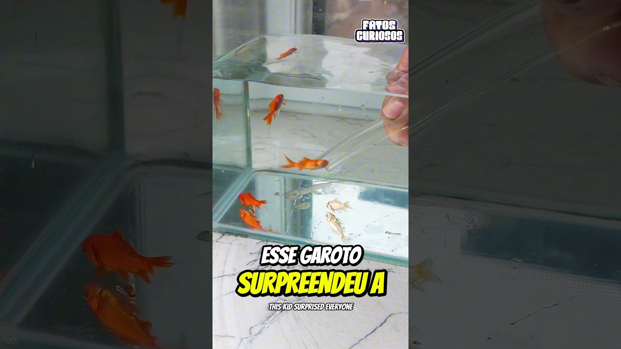 É ASSIM QUE SE LIMPA O AQUÁRIO DE FORMA FÁCIL