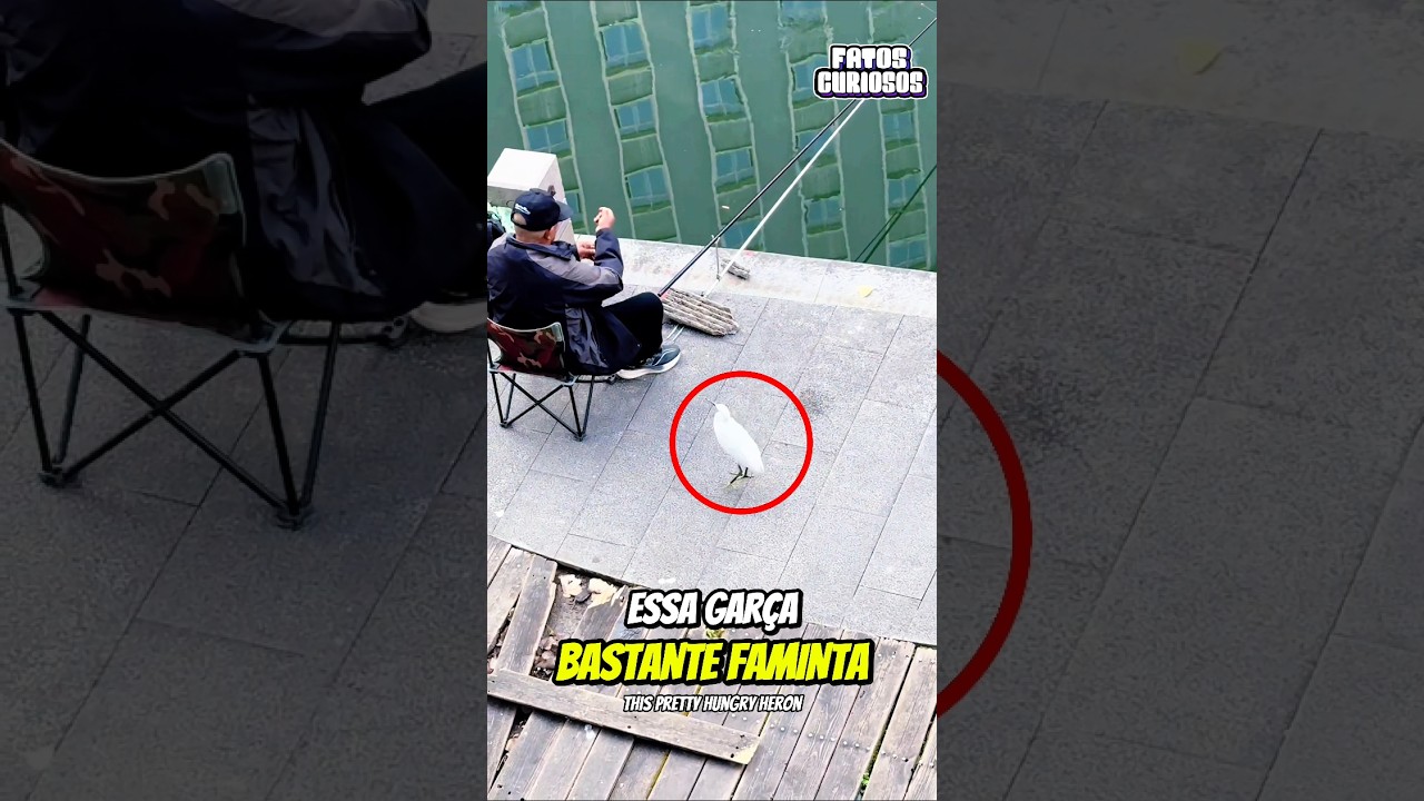 O NOBRE GESTO DE AMOR E EMPATIA DESSE SENHORZINHO DEIXOU A TODOS EMOCIONADOS