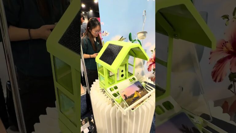 Essa casa de passarinho é diferenciada