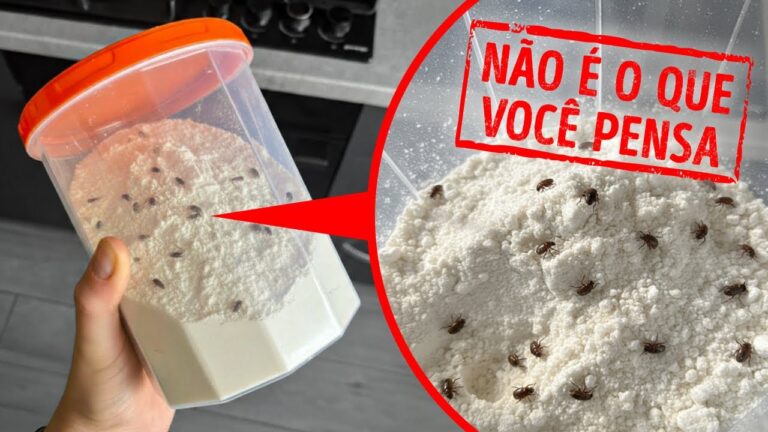 Itens domésticos comuns que são realmente perigosos