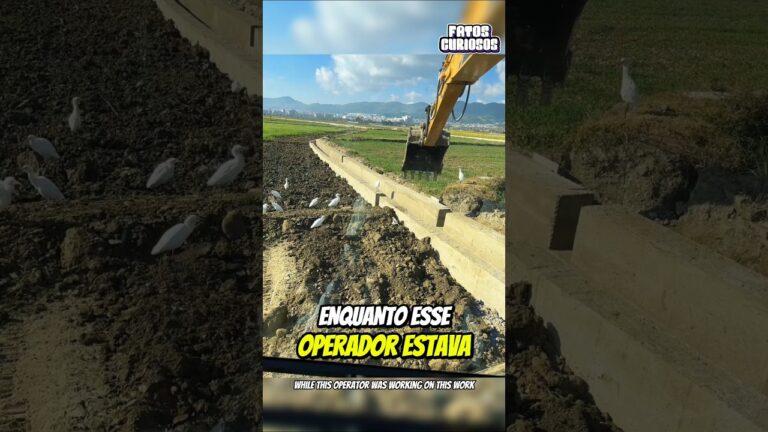 O Ato De Bondade Desse Operador Salvou o Dia Emocionando a Todos