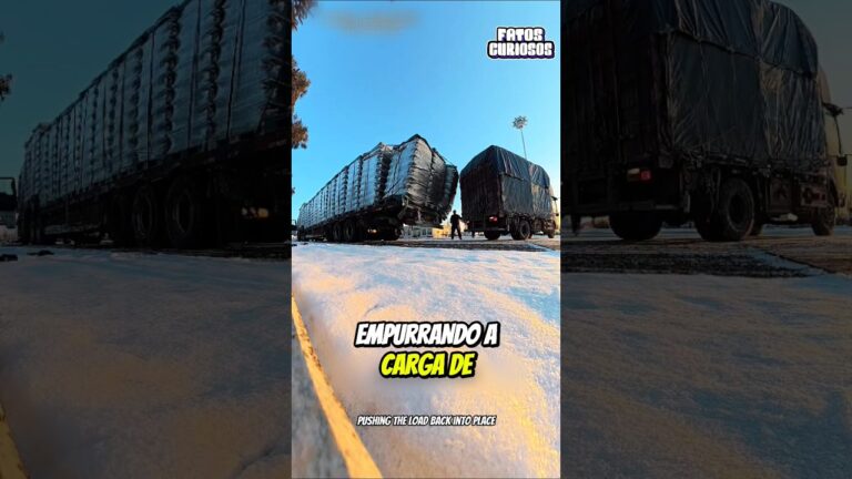 O NOBRE GESTO DESSE CAMINHONEIRO EMOCIONOU A TODOS