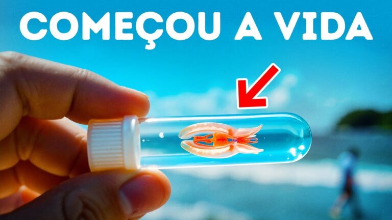 O primeiro animal da Terra finalmente foi encontrado