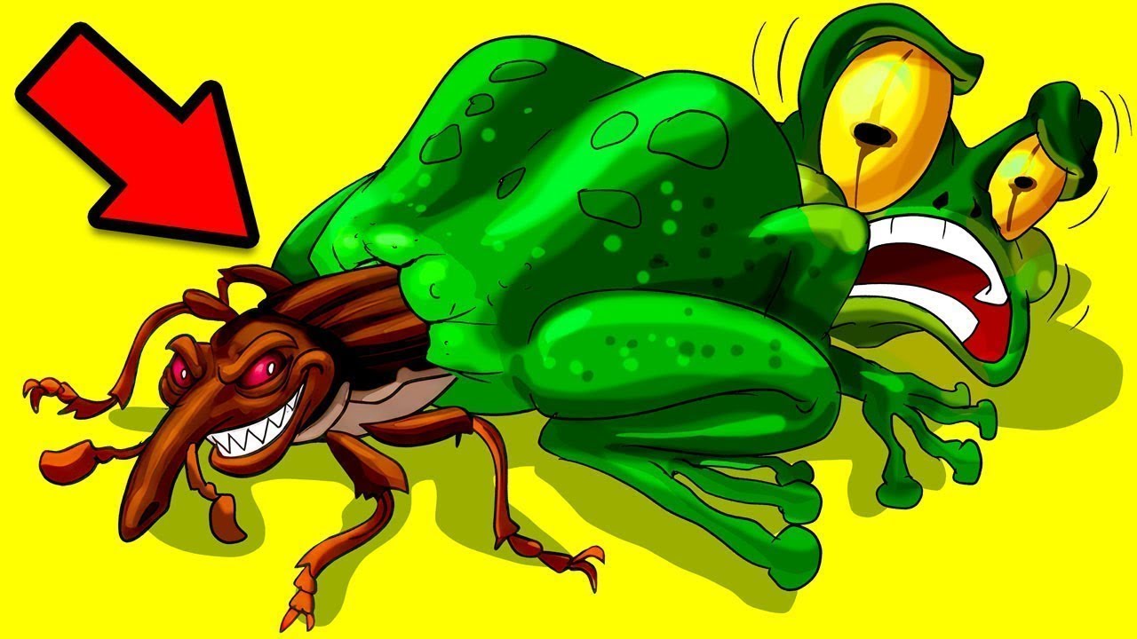 Os Comportamentos Animais Mais Estranhos