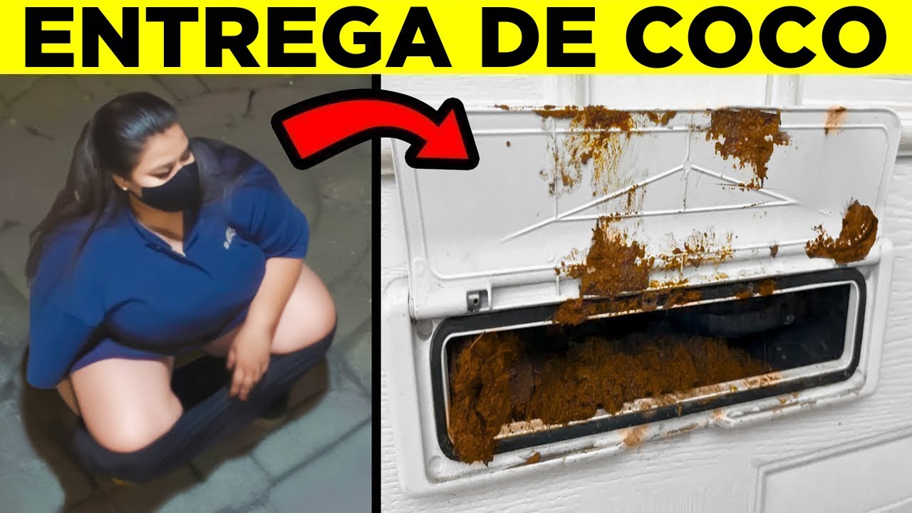 Os Piores Vizinhos Do Mundo Flagrados Por Câmeras