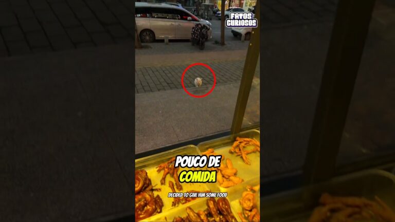 🥺 O GESTO MAIS NOBRE! Pediu Comida, Mas o Motivo Vai Partir Seu Coração ✨🍗