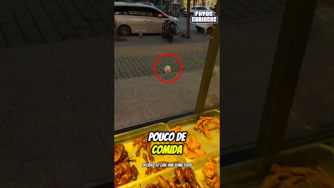 🥺 O GESTO MAIS NOBRE! Pediu Comida, Mas o Motivo Vai Partir Seu Coração ✨🍗