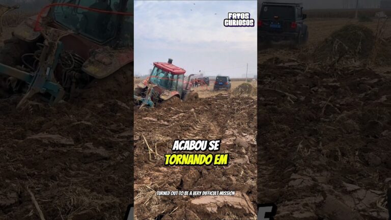 Apesar Das Críticas Esses Garotos Não Desistiram De Ajudar a Esse Motorista