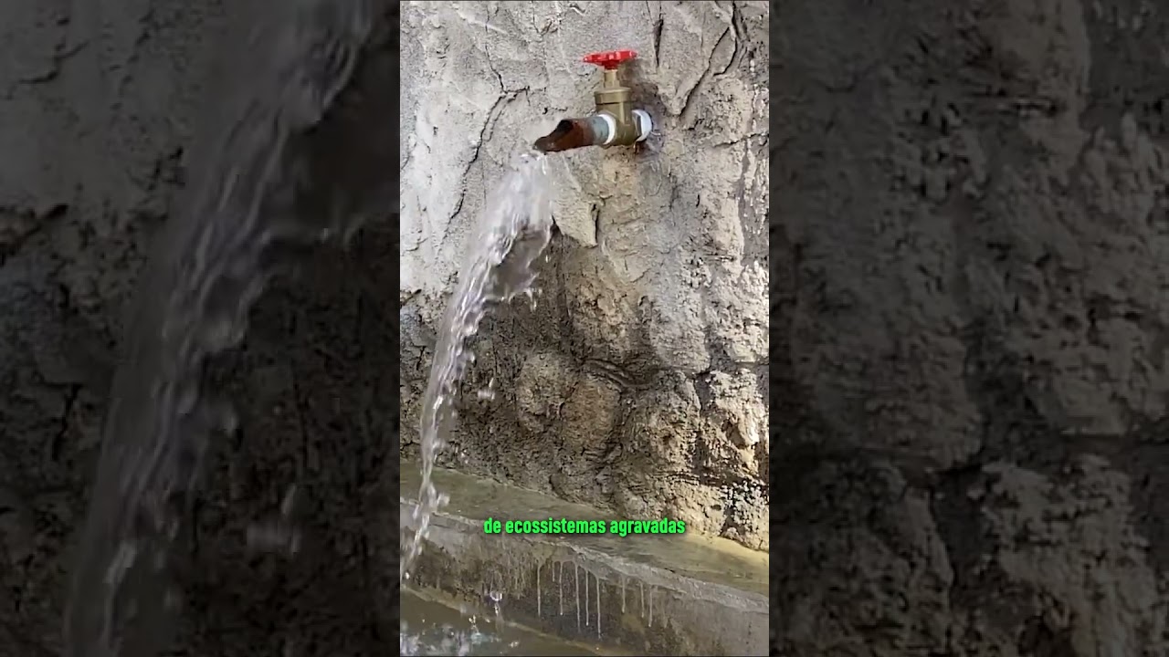 Relatório da ONU declara entrada na era da “falência hídrica” do planeta