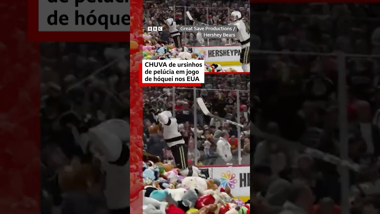 Milhares de ursinhos de pelúcia 'chovem' em partida de hóquei no gelo nos EUA