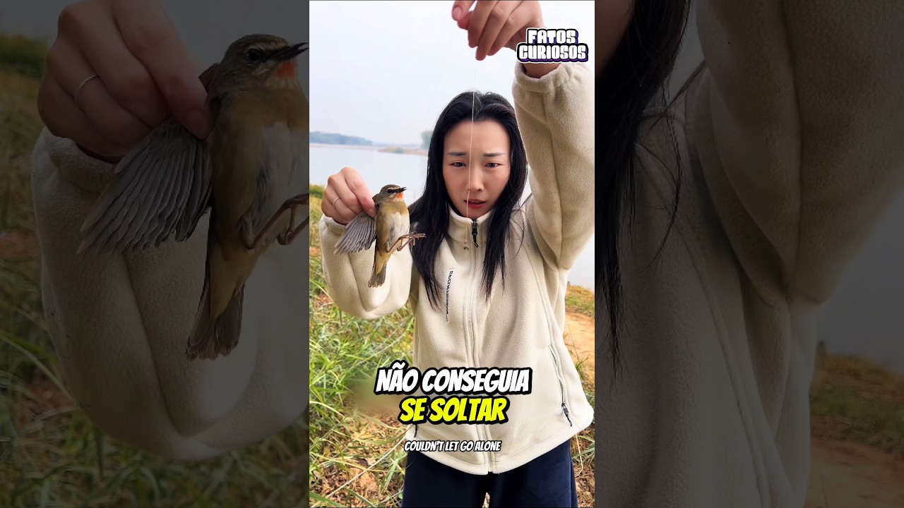 😭 UM GESTO SILENCIOSO DE AMOR! O que essa garota encontrou no lago vai te emocionar 🕊️✨