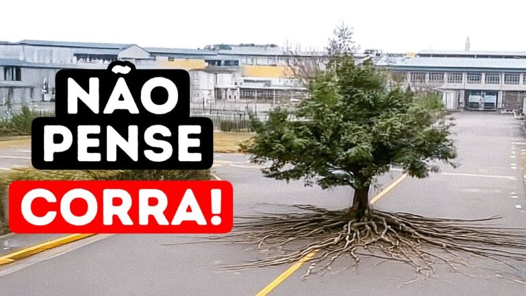 Se esta árvore começar a se mover... você já está em perigo