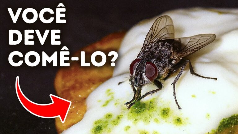 Segredos perturbadores dos insetos que farão você se arrepiar