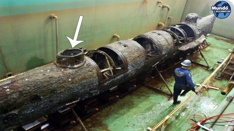 6 coisas incríveis que foram descobertas recentemente